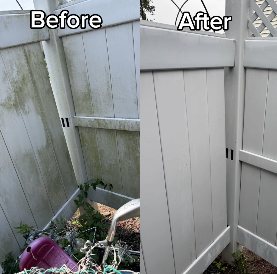 Before and after vinyl fence cleaning, green algae removed