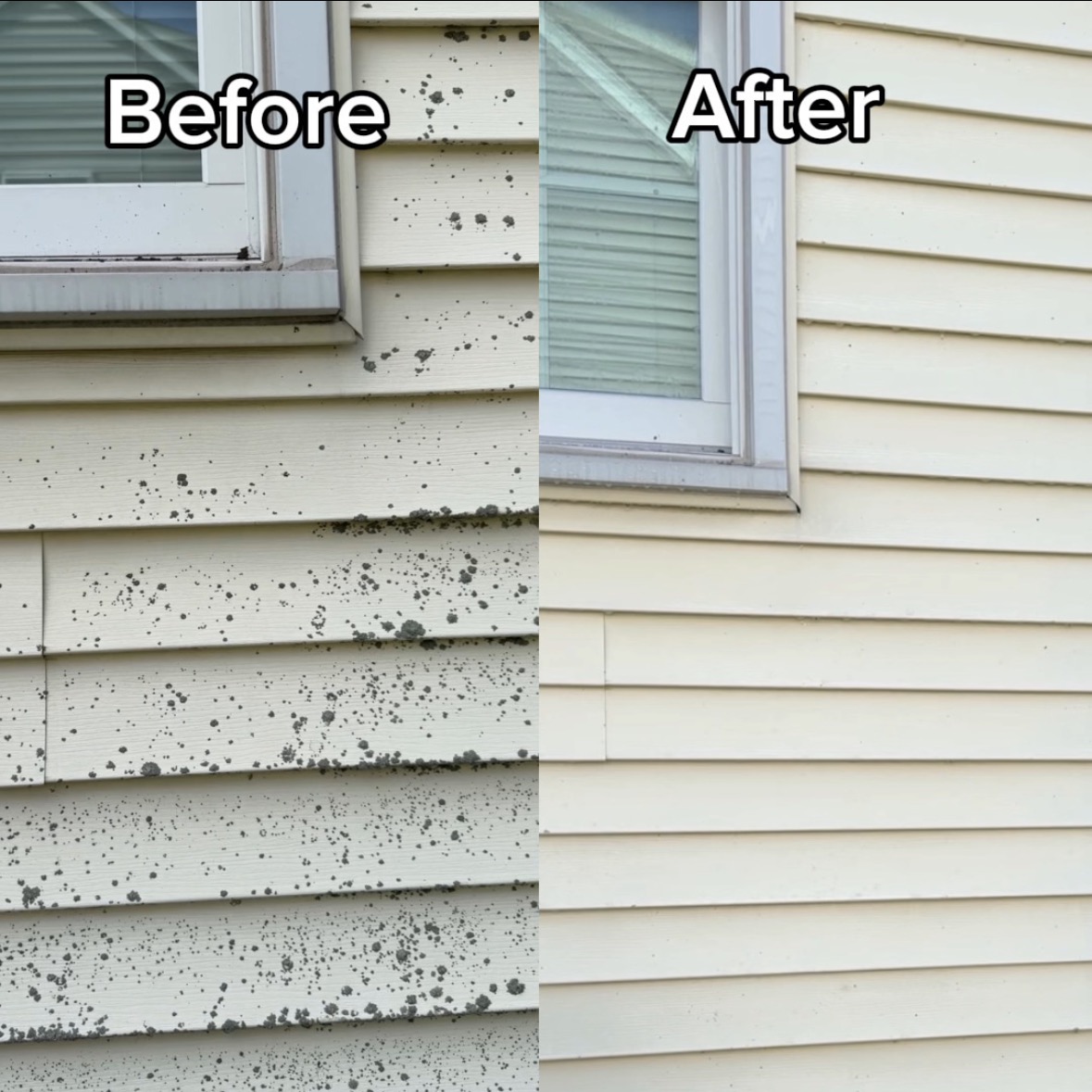 Before and after house washing