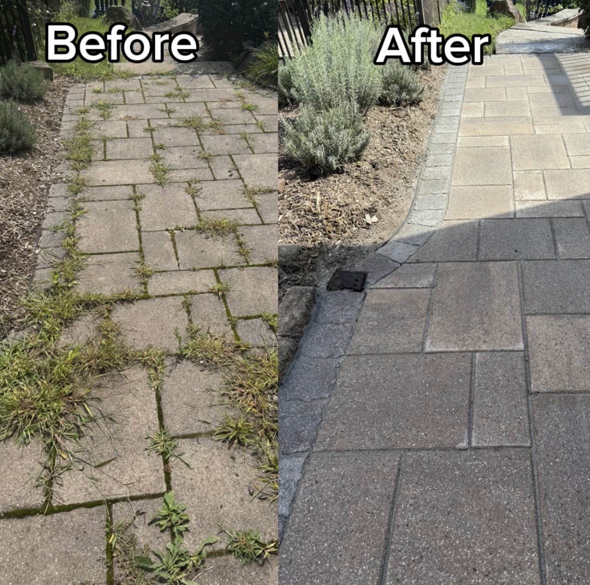 Before and after paver walkway cleaning and re-sanding, weeds removed