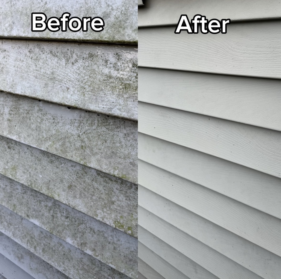Before and after siding wash removing algae